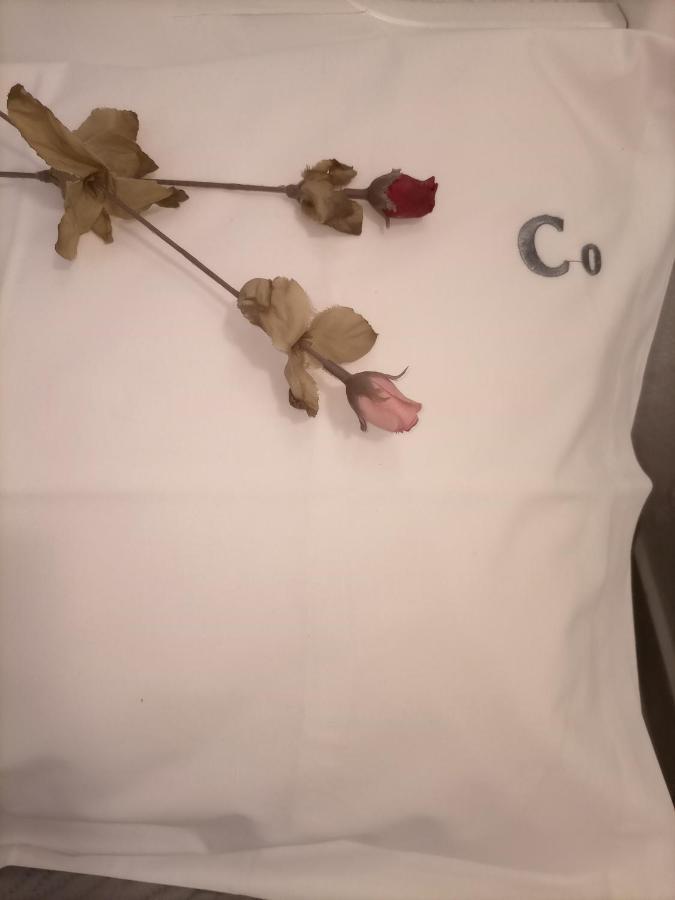 카발라 Lilac Studio 아파트 외부 사진